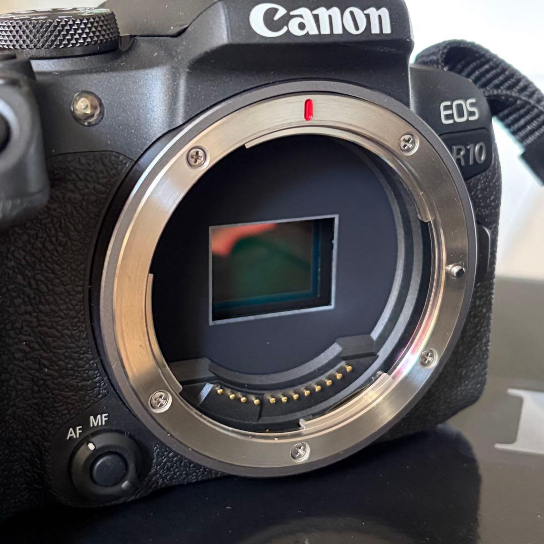 デジタルカメラ CanonEOSR10 RF-S18-150mm RF 50mm f1.8stm