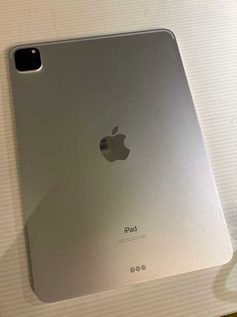 iPad Pro (第二世代)11インチ シルバー Apple Pencil付