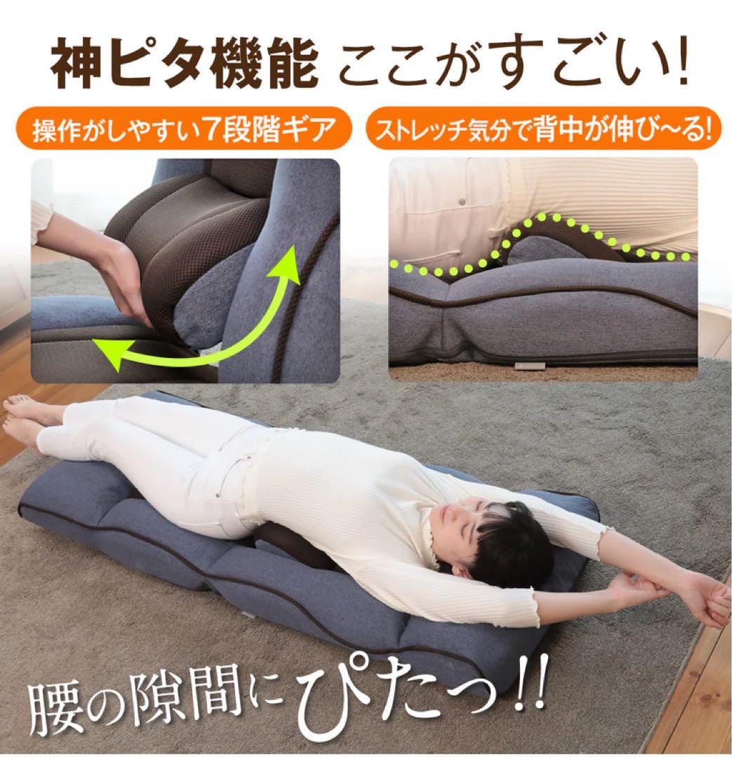 腰の神様がくれた座椅子　PLUS 品番：ZF1-ニール/ZF1-二ーカム