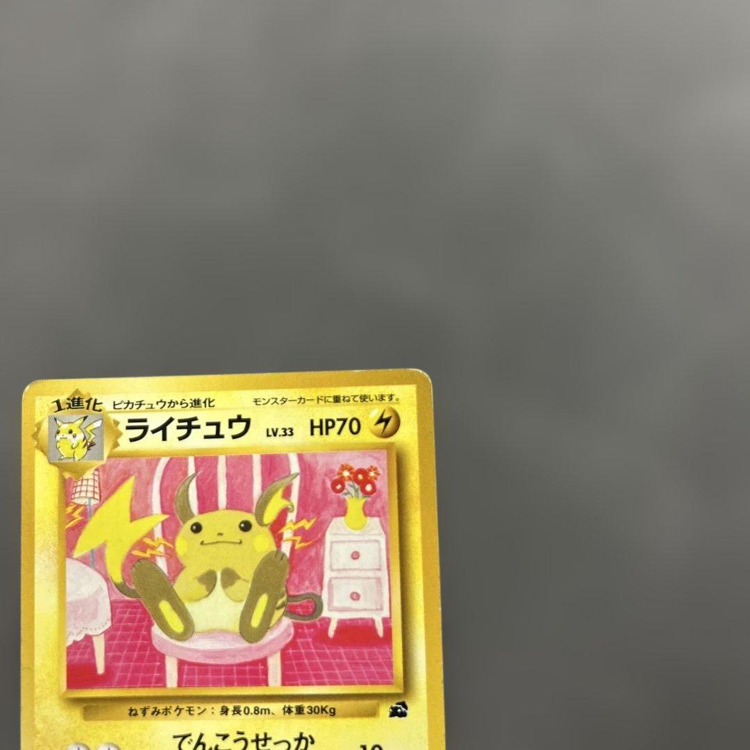 ライチュウ イントロパック