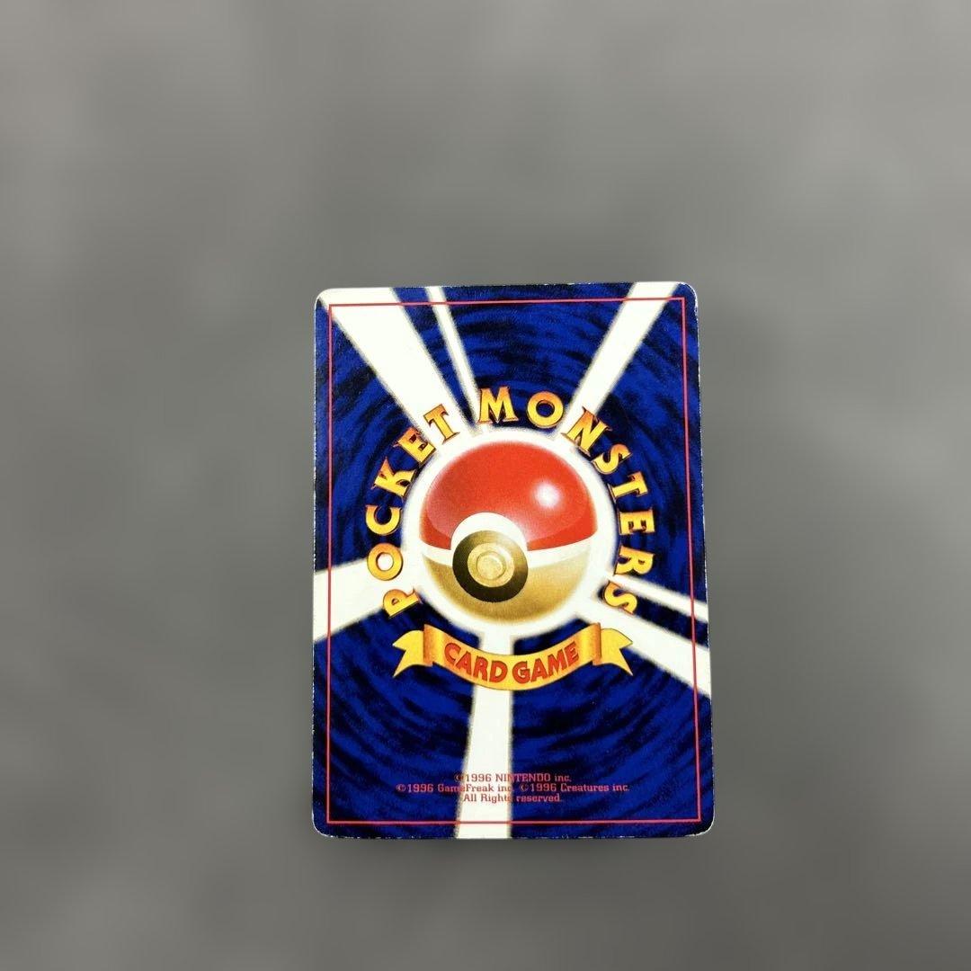 ライチュウ イントロパック