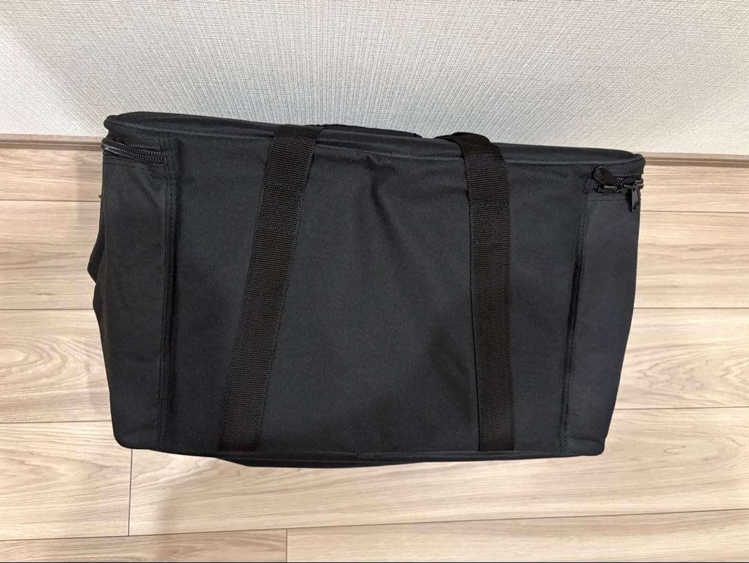 Moog Multi Purpose Gig Bag モーグ機材バッグ