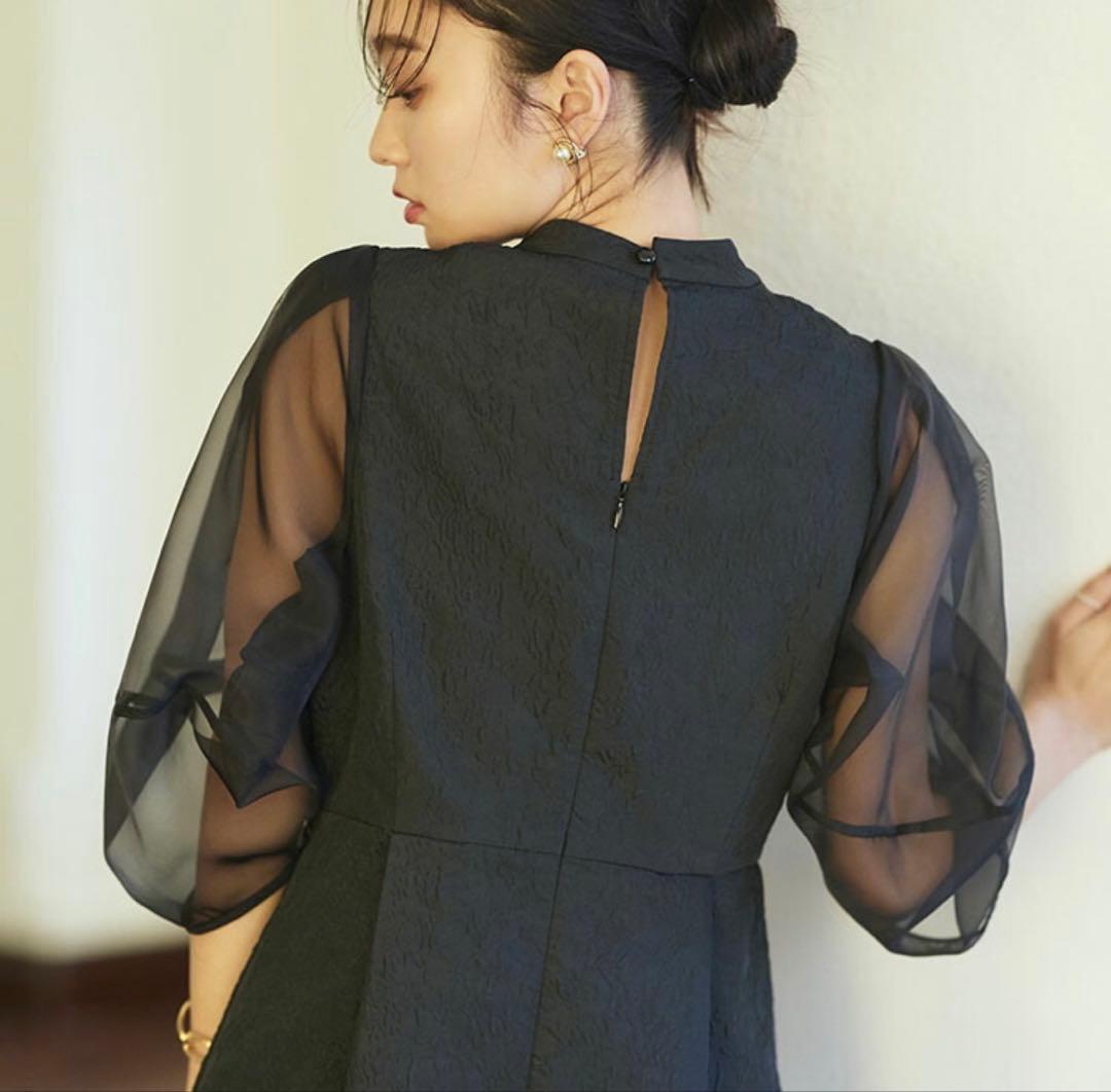 RUIRUE BOUTIQUE シアーランタンスリーブふくれジャカードドレス