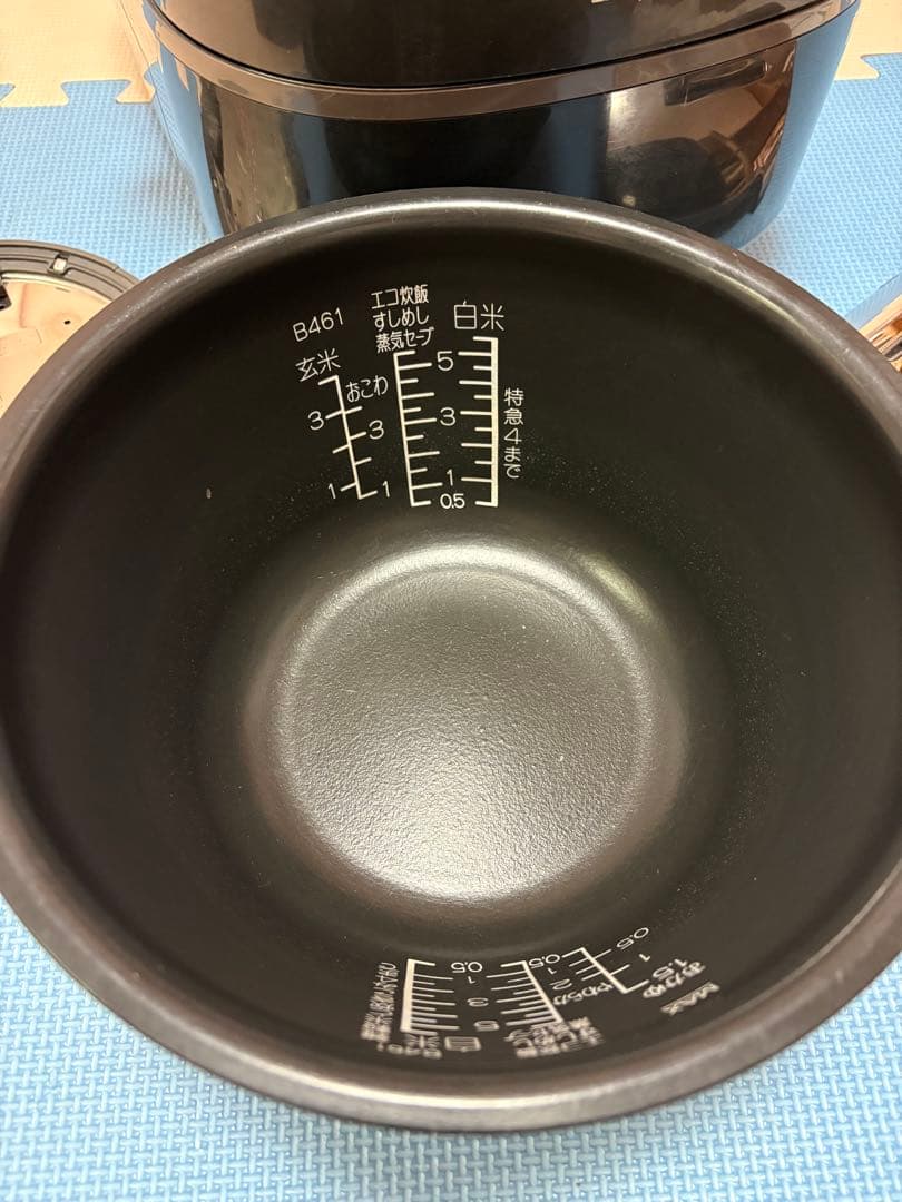 ⭐︎専用⭐︎南部鉄釜 極め炊き NP-WU10型　説明書あり