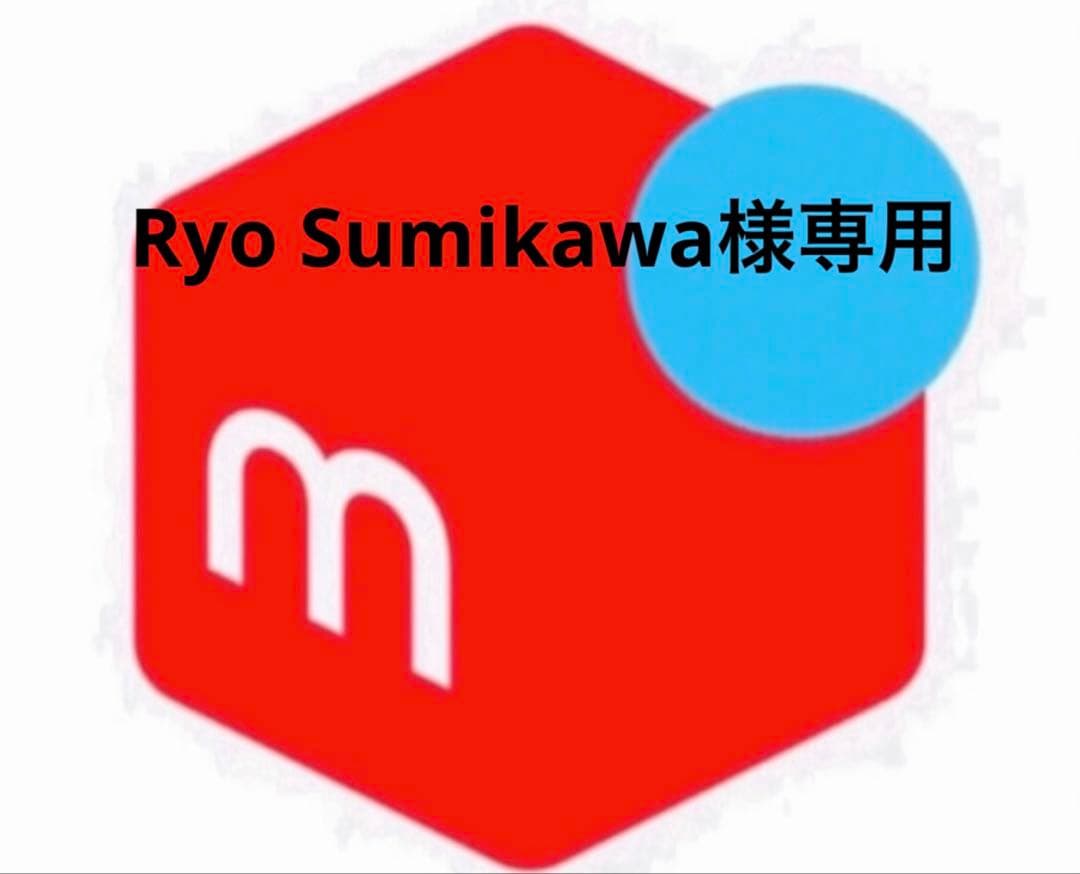 その他 Ryo Sumikawa