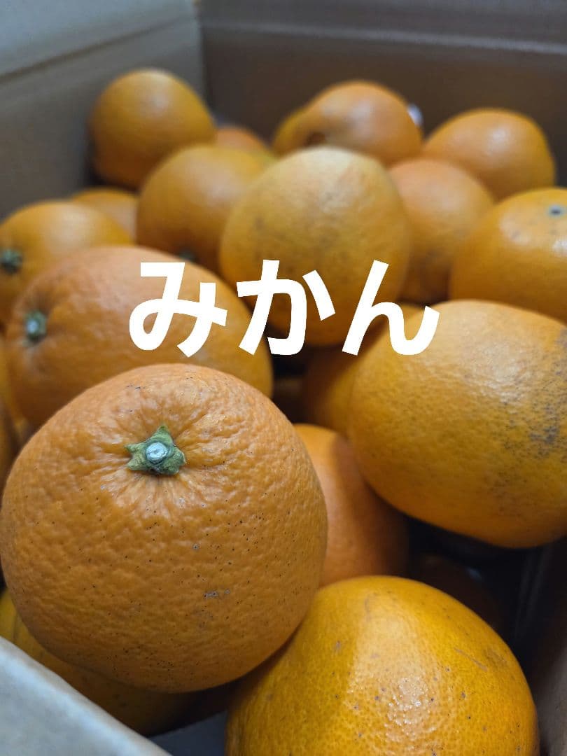 ネーブルオレンジ