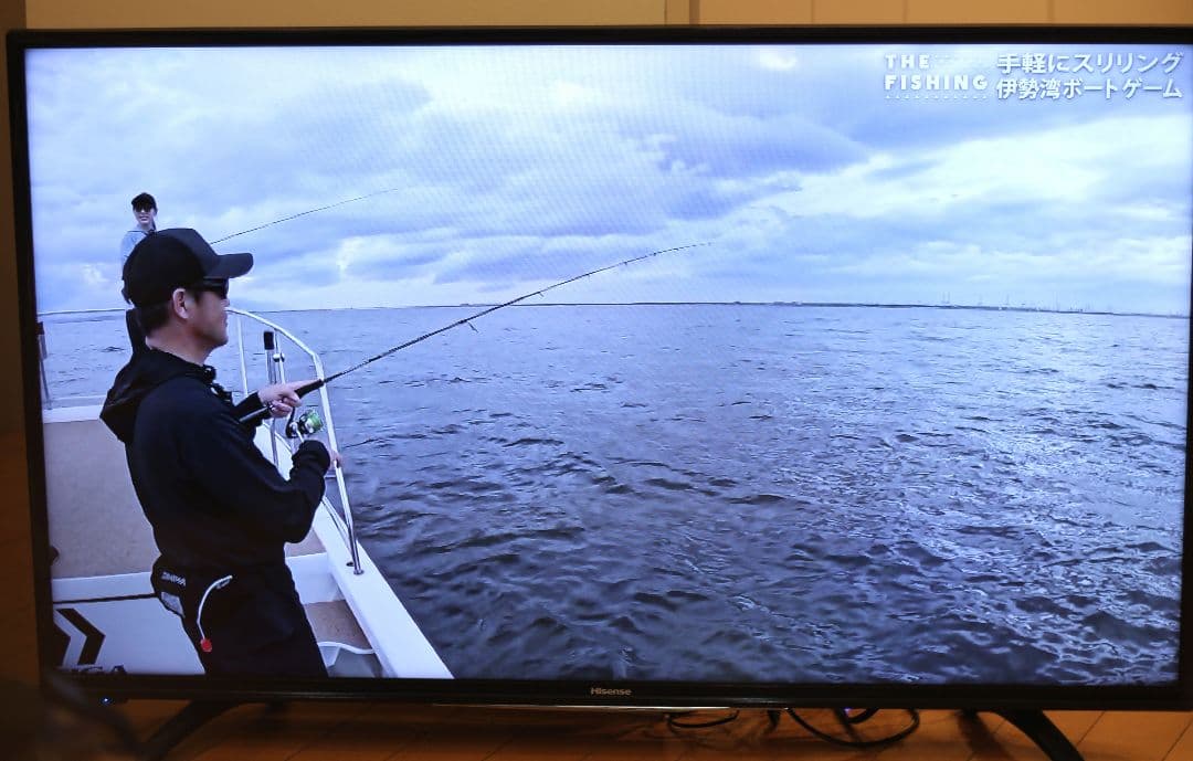 Hisense 43インチ液晶テレビ 本体