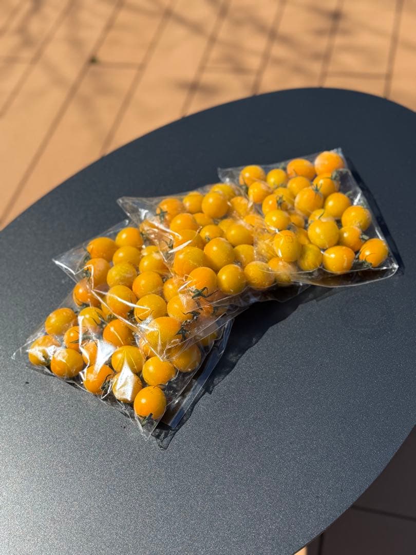 冷凍トマト ミニトマト イエローミミ 業務用 加工用 5kg