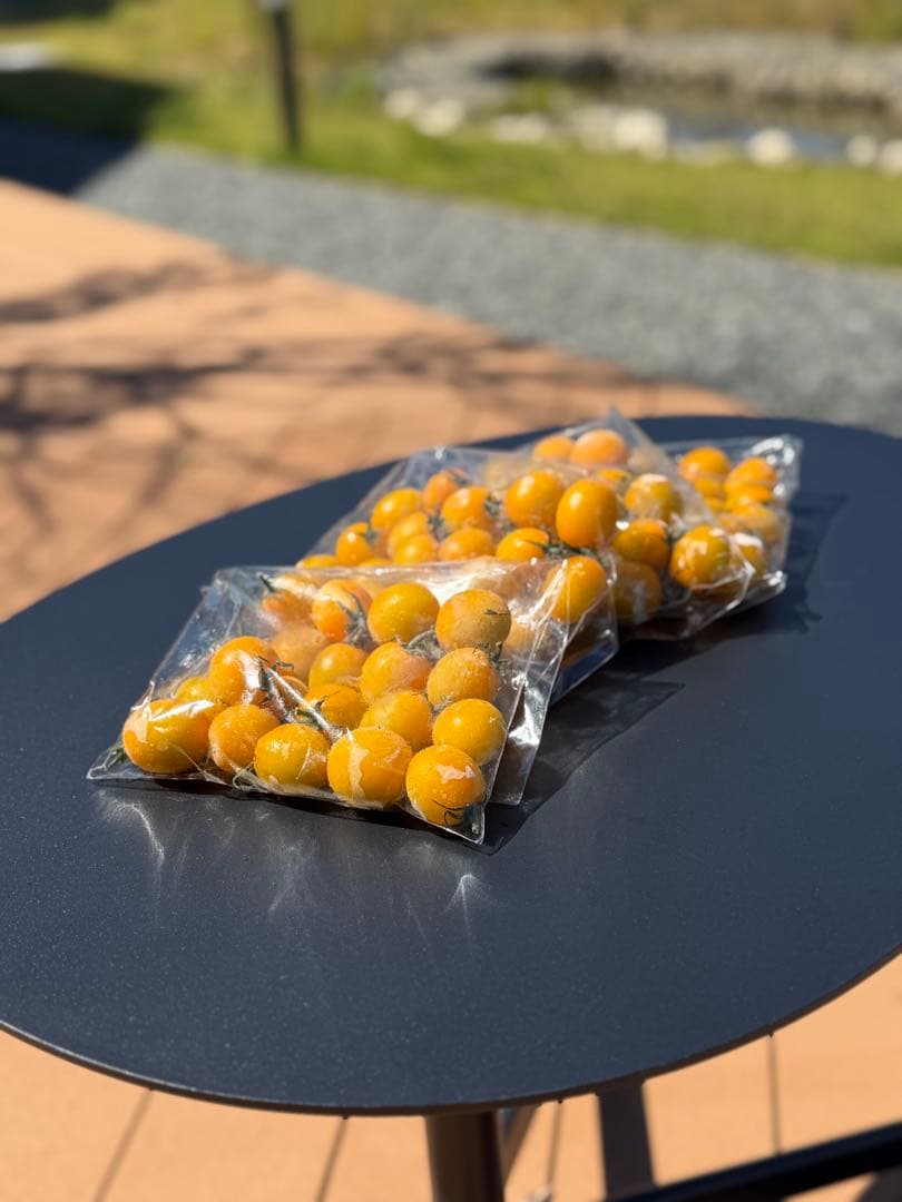 冷凍トマト ミニトマト イエローミミ 業務用 加工用 5kg