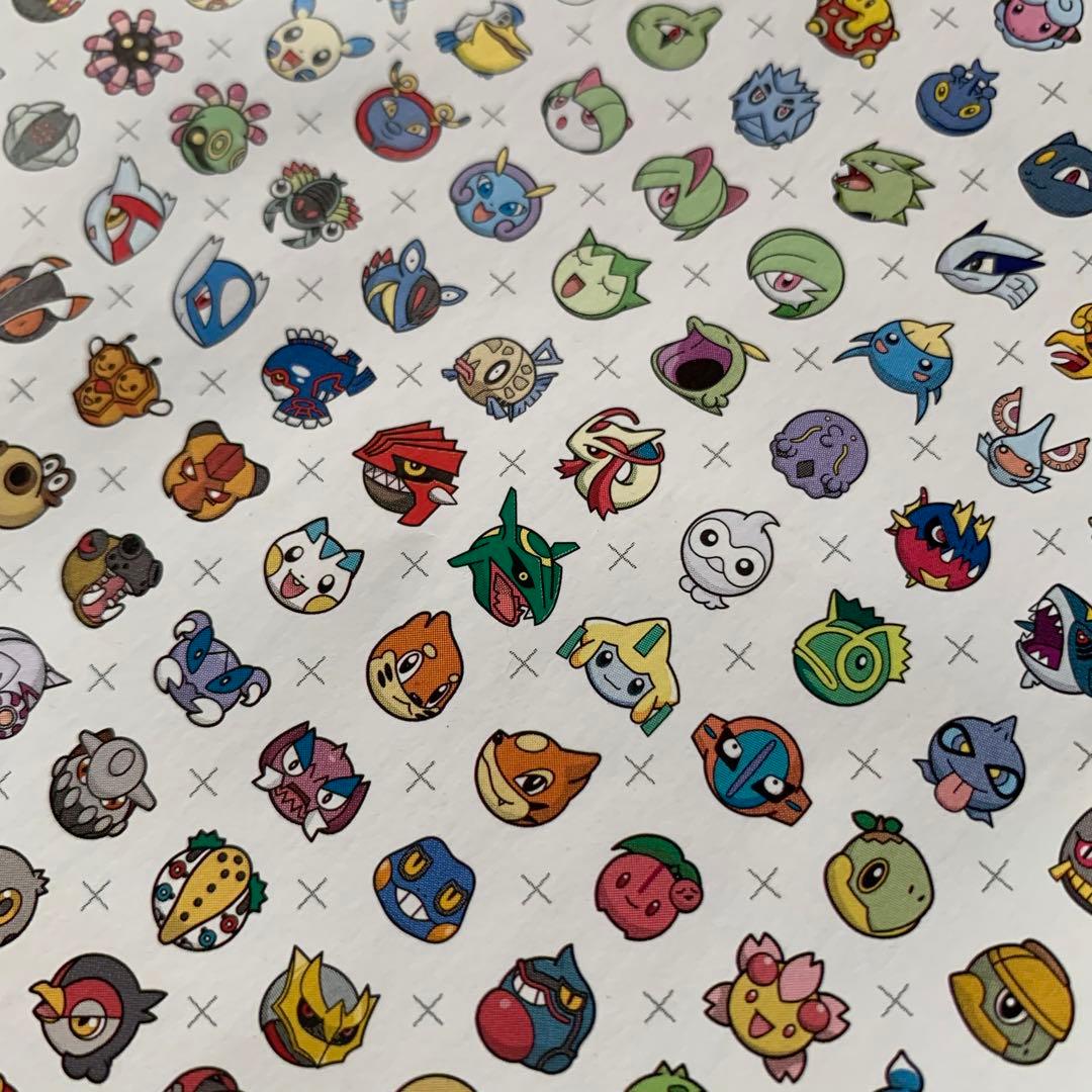 ポケモンバトルトローゼ　キャラクターリスト　2枚　ポケットモンスター　フライヤー