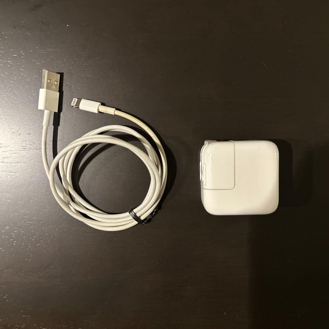 iPad ゴールド 本体 充電器付き