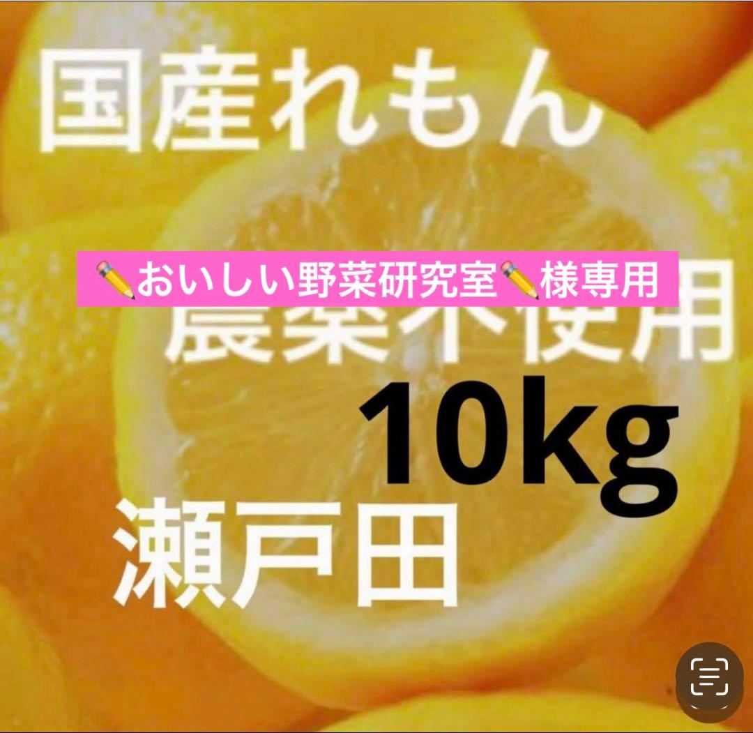 ✏おいしい野菜研究室✏レモン10kg