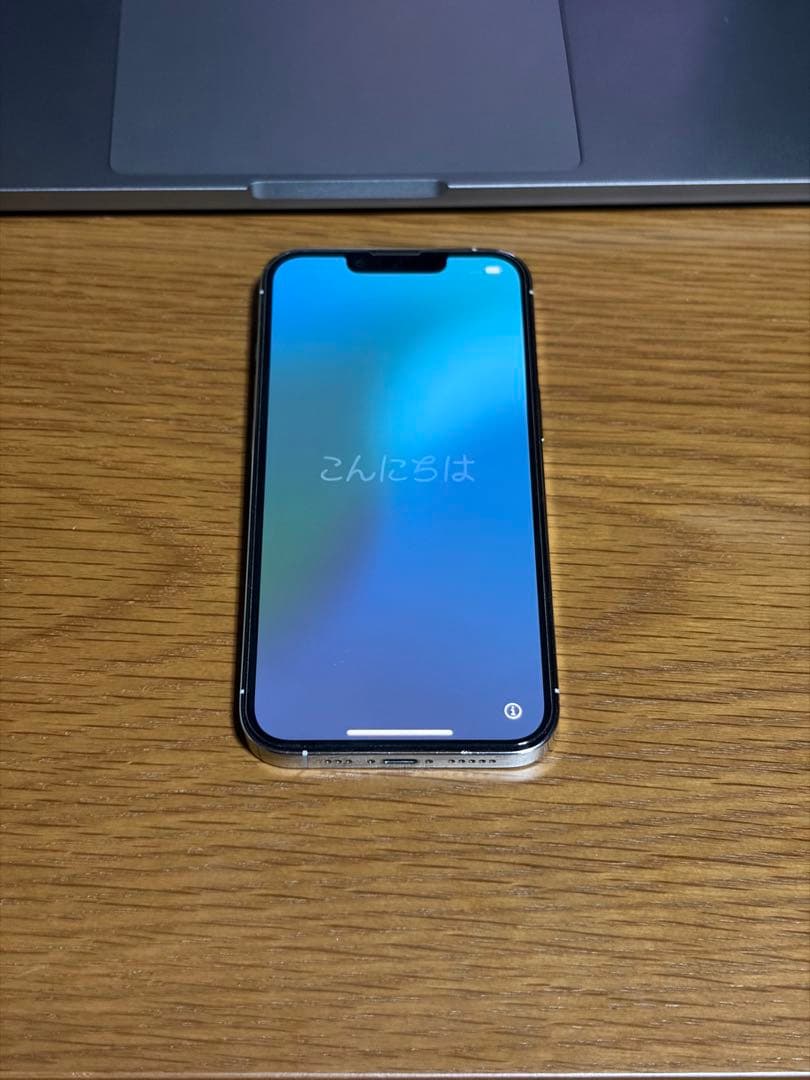 ✨*✨様 iPhone13 Pro 256gb 本体のみ