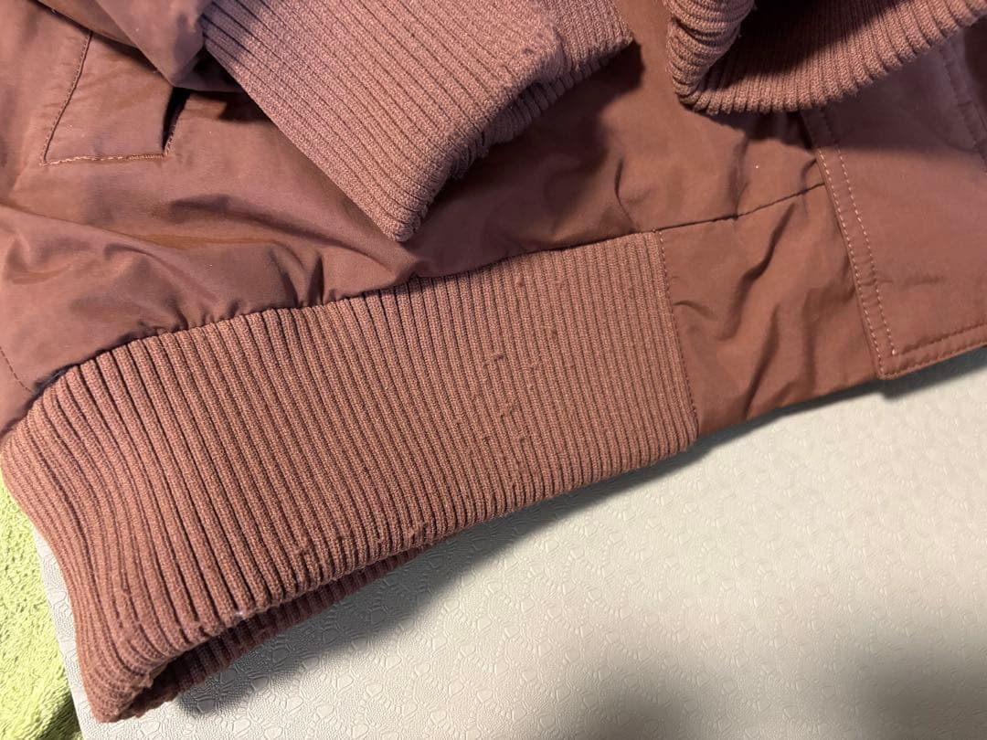 THE NORTH FACEノースフェイス　ダウン ファー付き　ドライベント　L