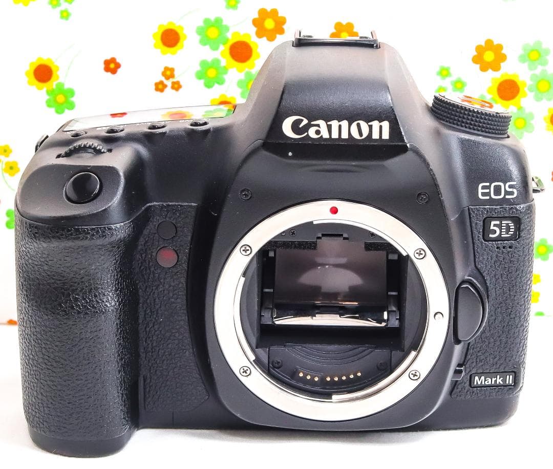 キャノン Canon 5D Mark II☆トリプルレンズ☆スマホに転送！