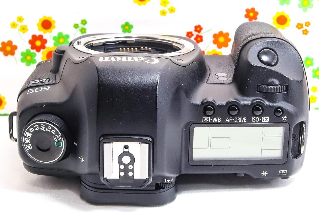 キャノン Canon 5D Mark II☆トリプルレンズ☆スマホに転送！