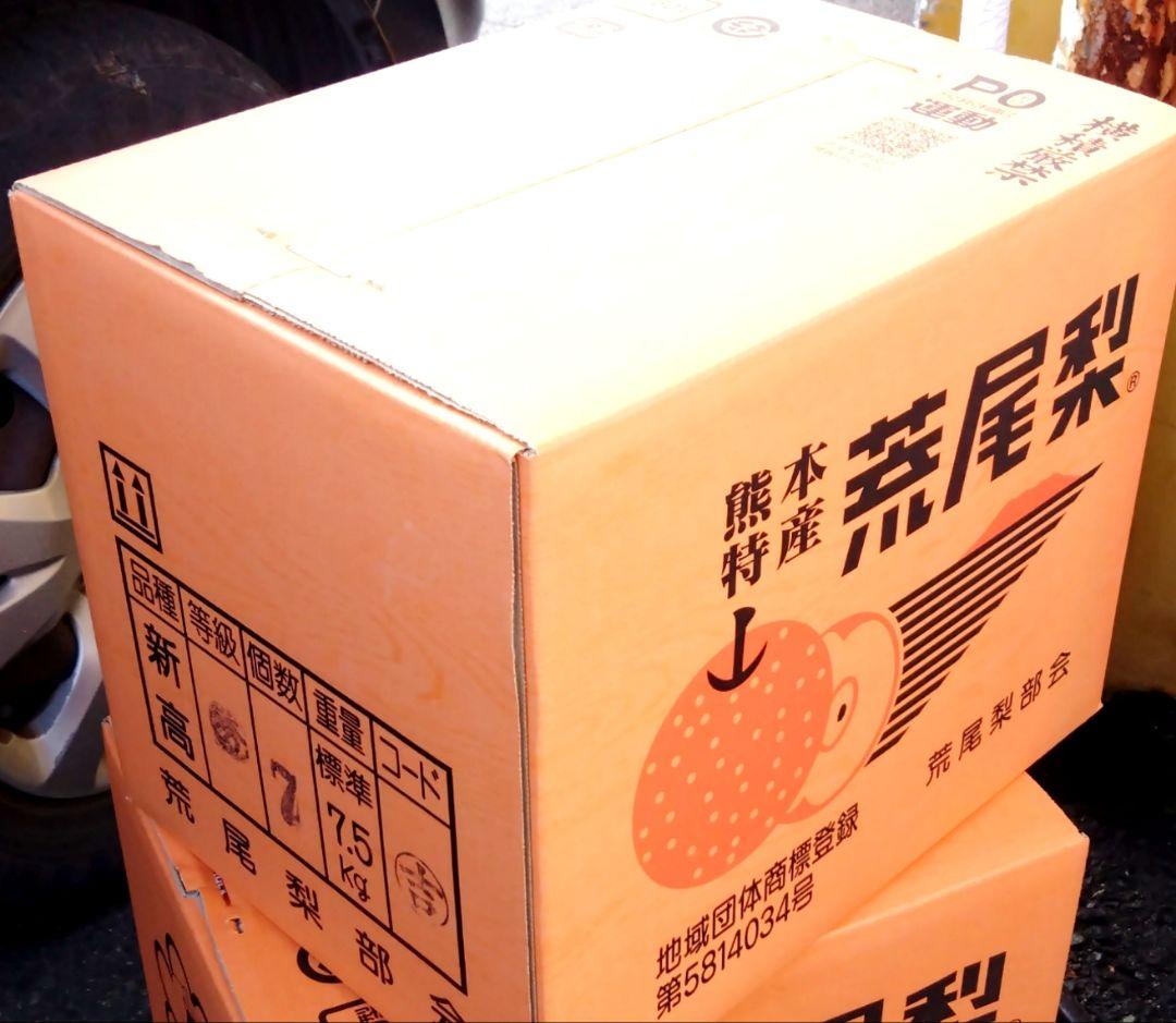 荒尾梨★(ジャンボ梨・新高)7.5kg箱大玉7玉入り〜1玉1kg超えになります