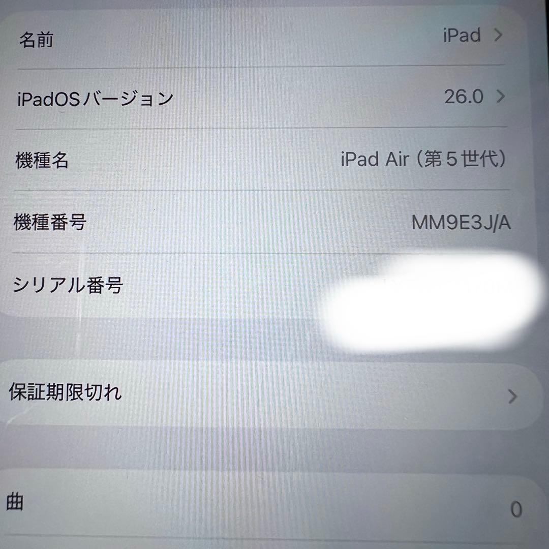 iPad本体 krt