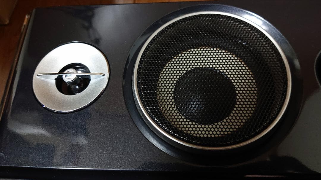 SONY SRS-ZP1000D パワードスピーカー