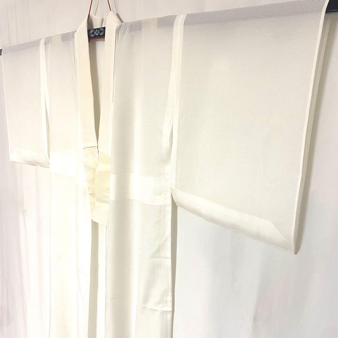 5k1849 長襦袢　正絹　夏物　薄物　絽　白　無地　和装　着物