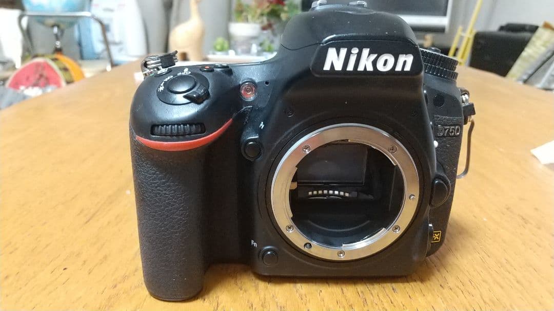 NikonD750 フルサイズ機+ズームレンズ1本+単焦点レンズ1本