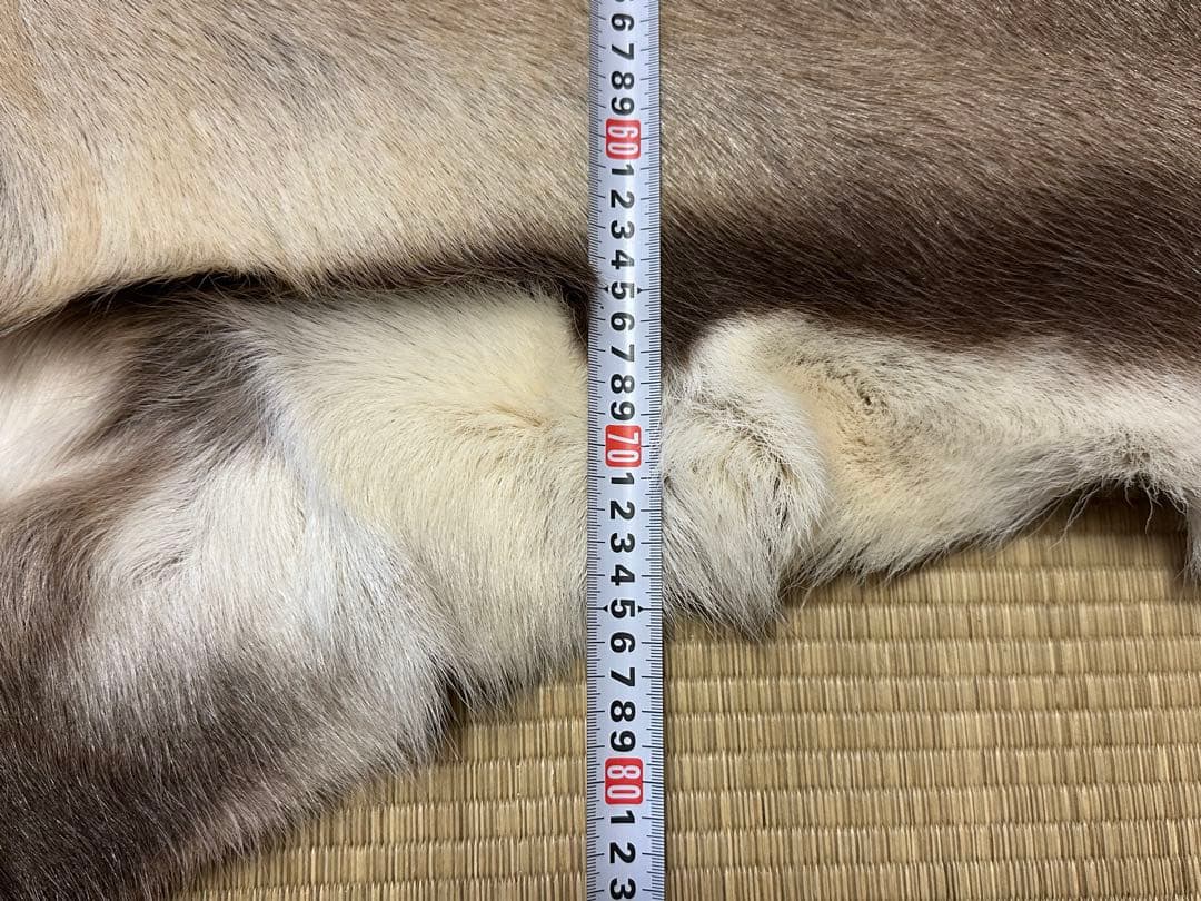 み*ん様 DALUM REINDEER トナカイ Lサイズ 毛皮