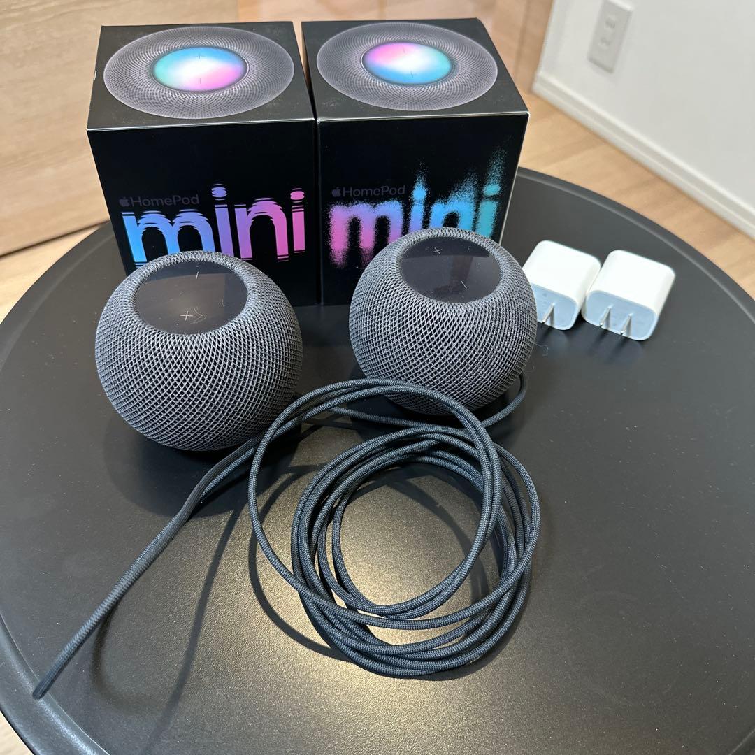 Pod mini - スペースグレイ 2個セット(2021年)