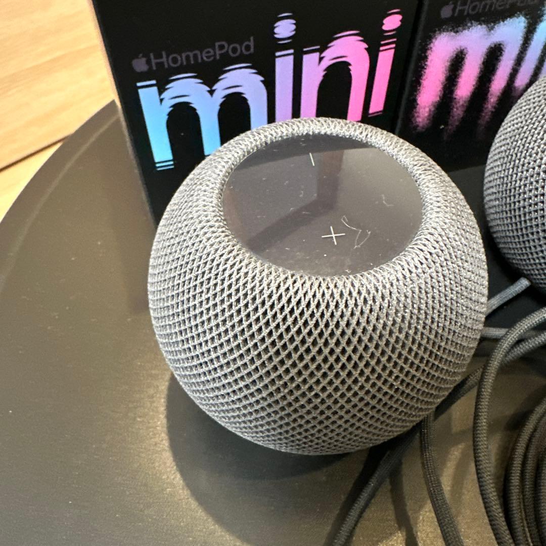 Pod mini - スペースグレイ 2個セット(2021年)