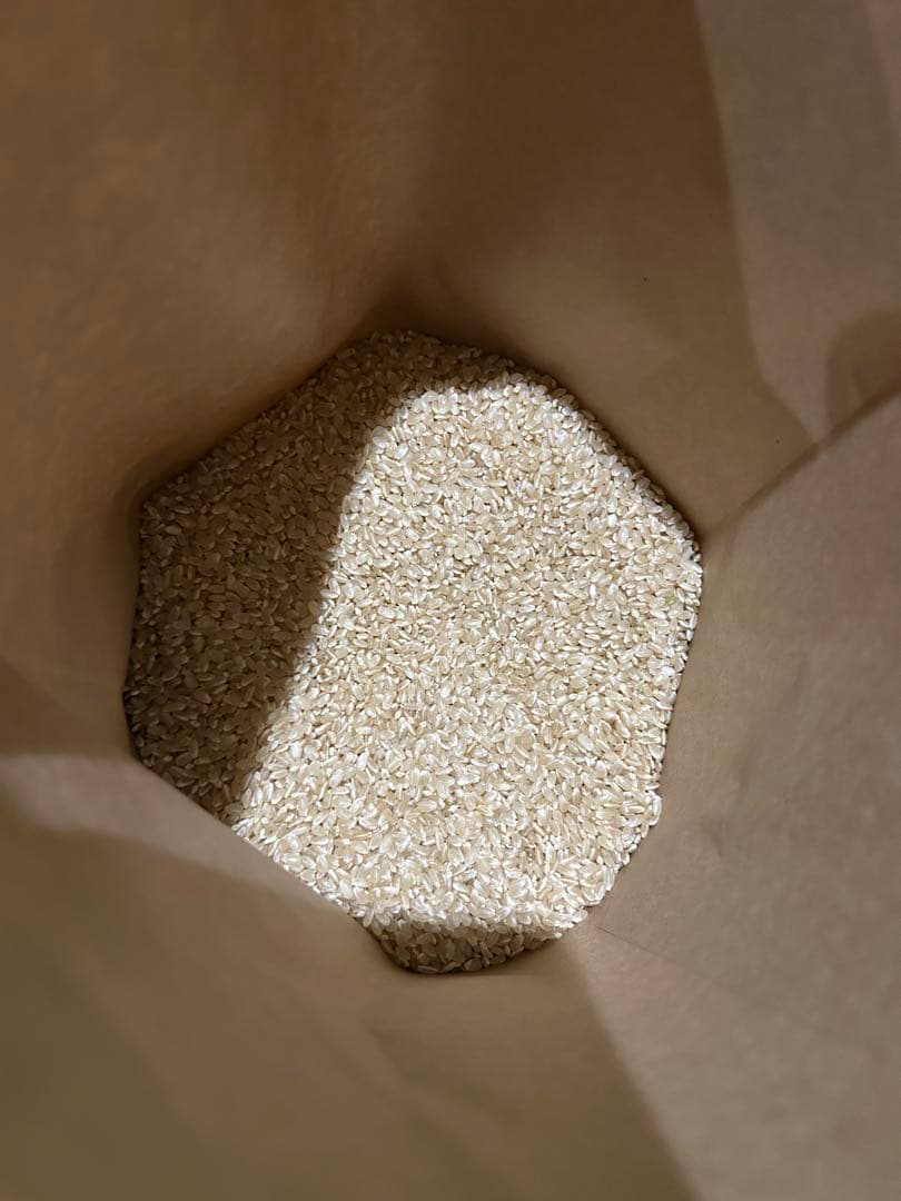 新潟県産コシヒカリ5kg×2 玄米　令和7年産