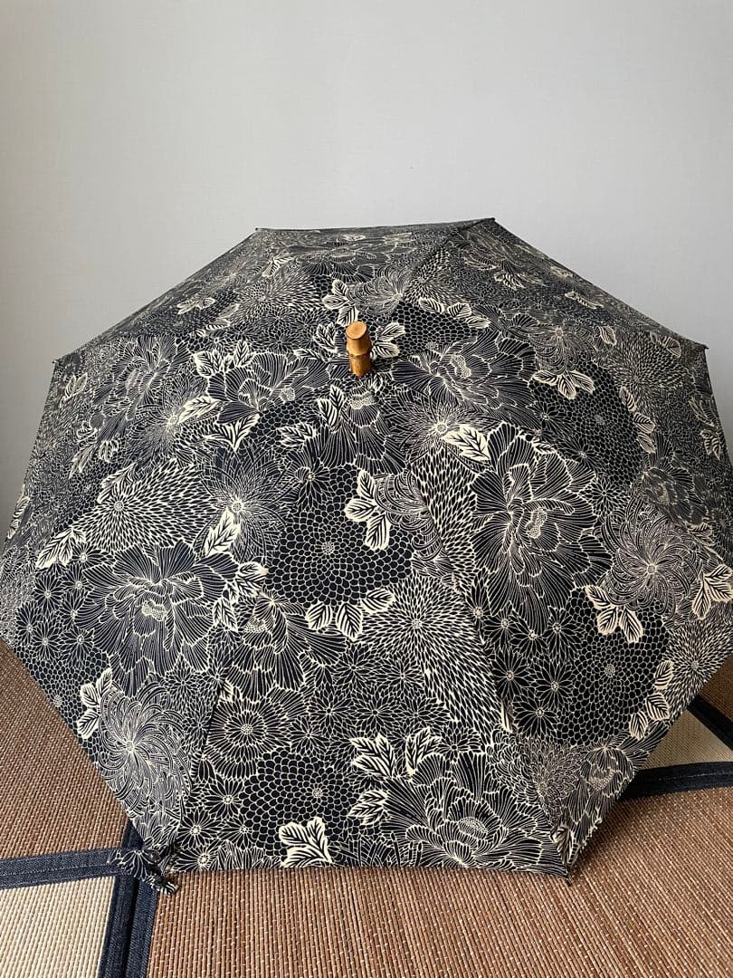 ほ*し様 ツタエノヒガサ　傳tutaee