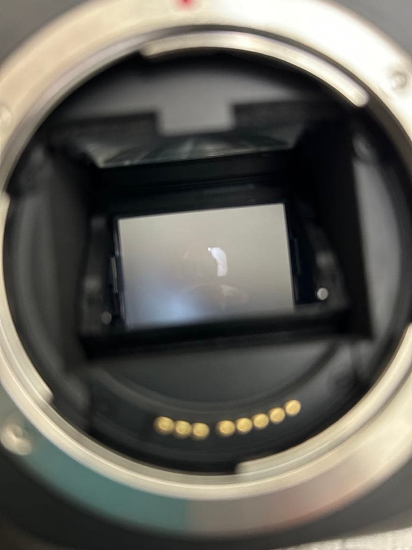 Canon EOS 5D mark3 EF24-105 L IS Uキット