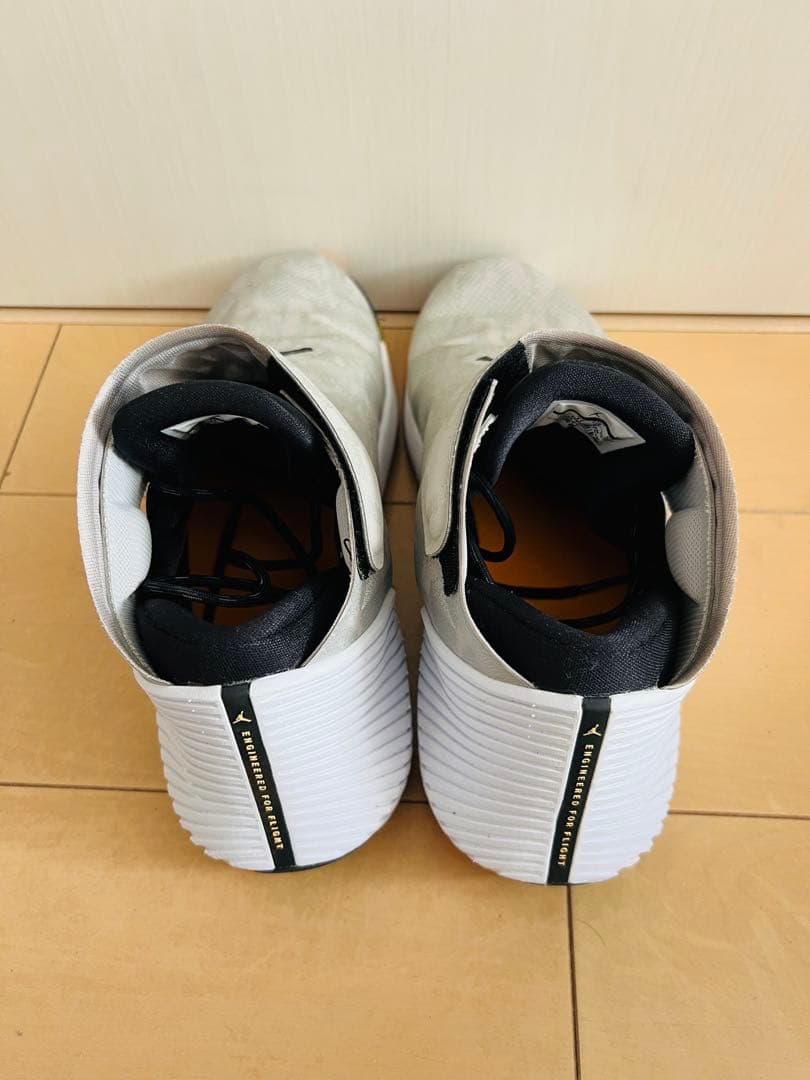 シューズ(男性用) Nike Air Jordan Why Not Zer0.1 Low 30cm