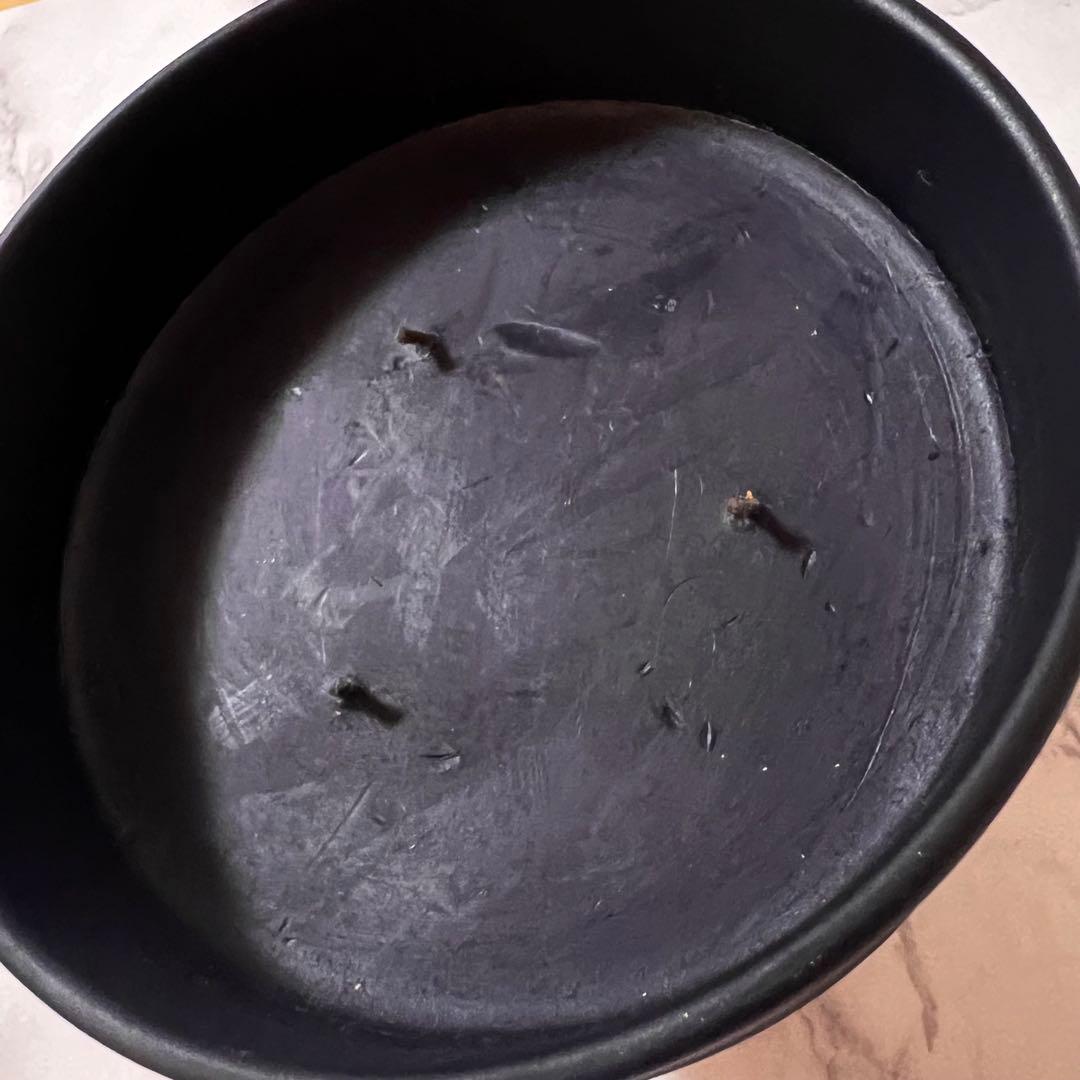 Diptyque ディプティック BAIES アロマ キャンドル 600g