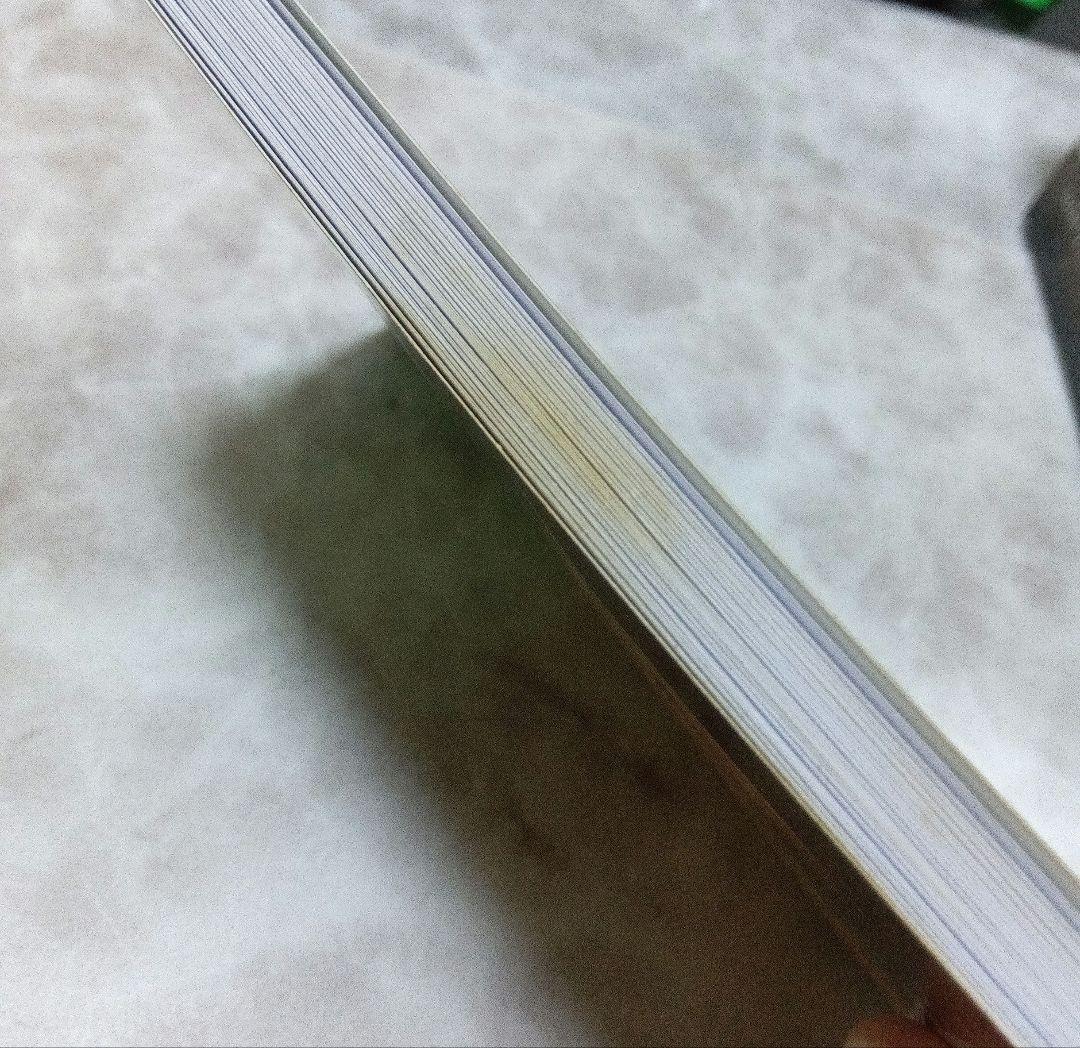 専用※訳あり日本語版『ユニコーン〜』＋おまけ『パストライフオラクル〜』その他2点