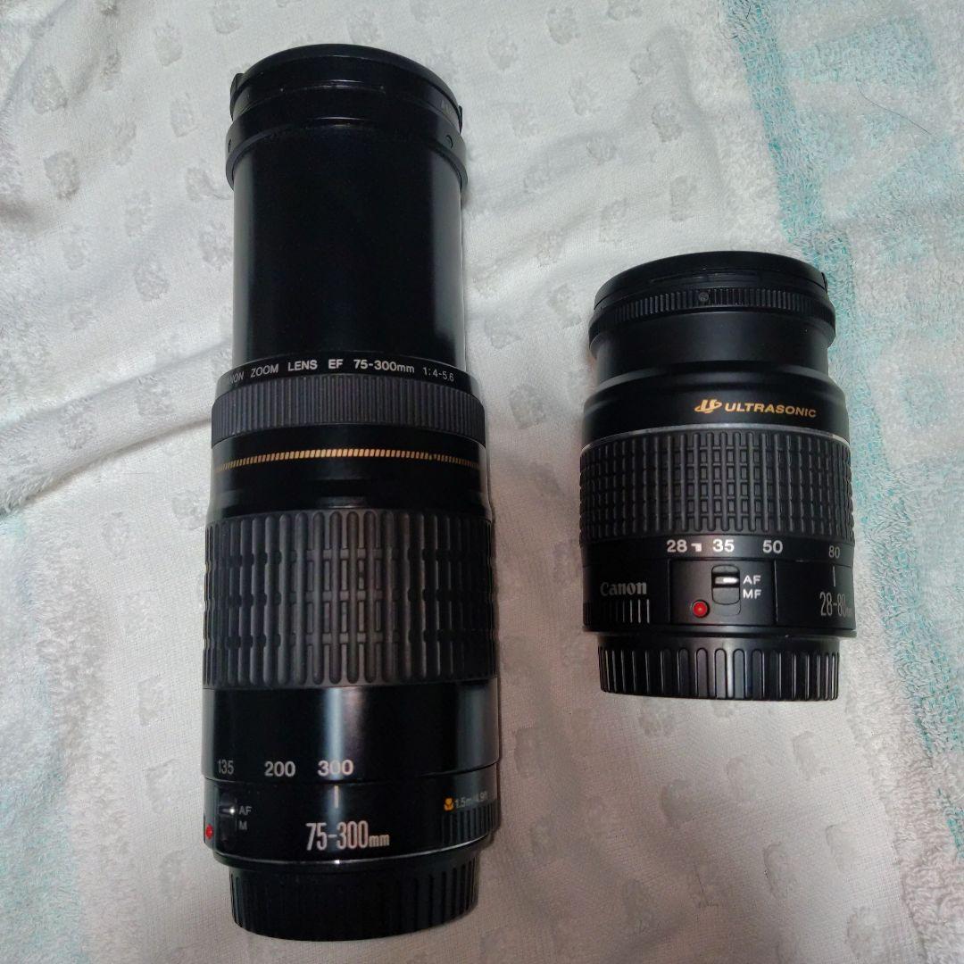 Canon EOS-1Ⅴ HS 一眼レフカメラ