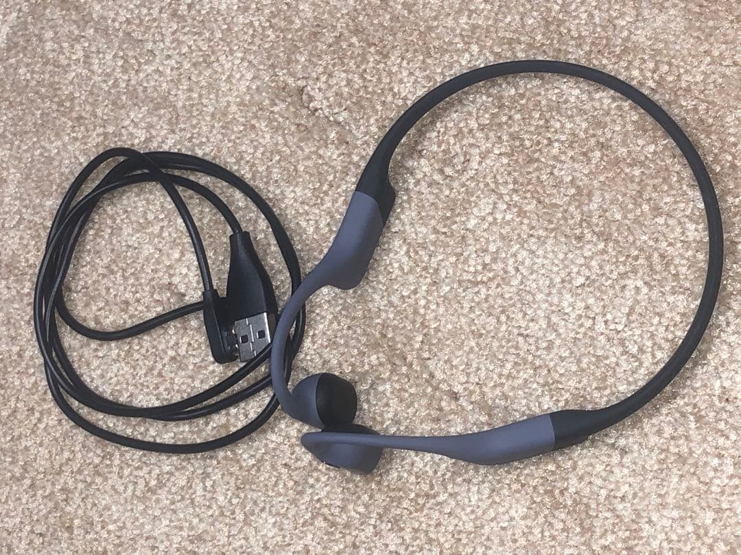 イヤホン OpenSwim Pro SHOKZ S710