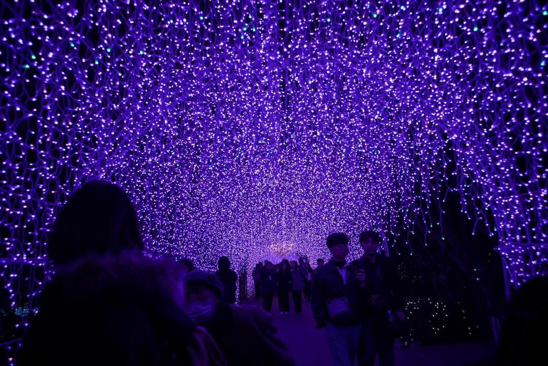 ジュン様　広角ニュージェネレーション Leica Elmarit-M 28mm