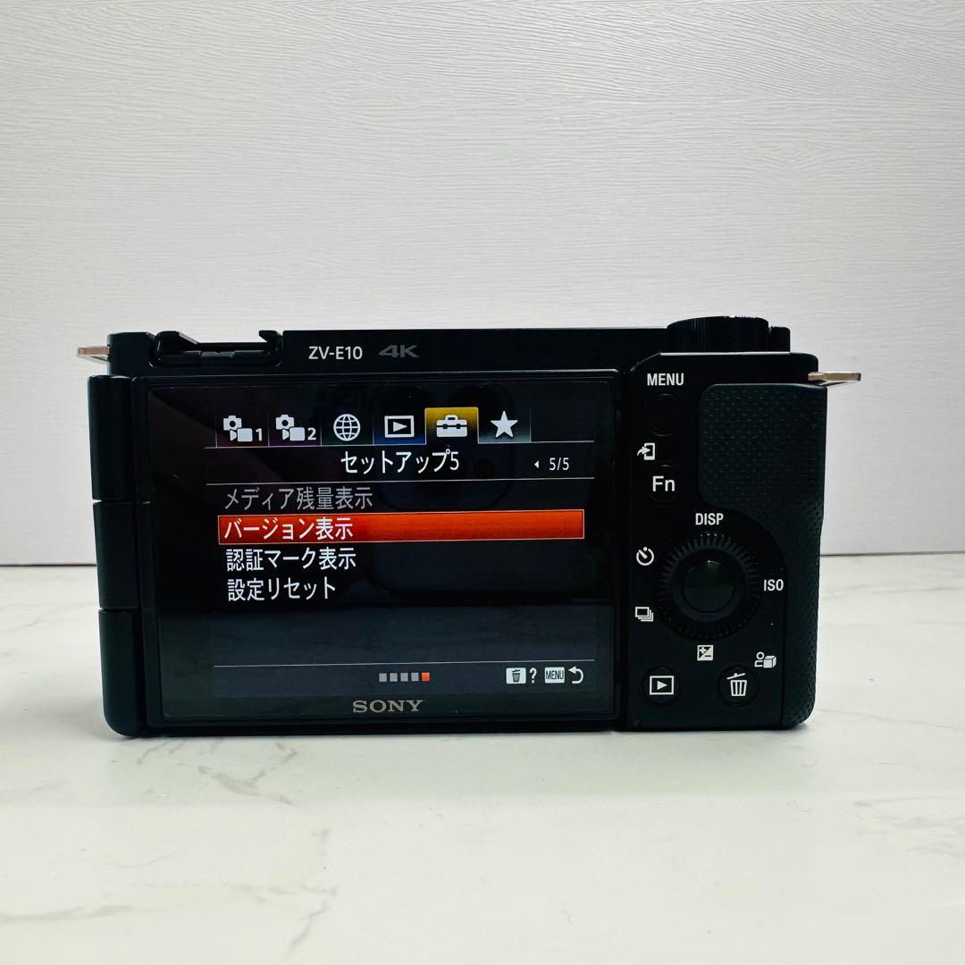 SONY ソニー ZV-E10 ボディ ミラーレス一眼カメラ ショット数179枚