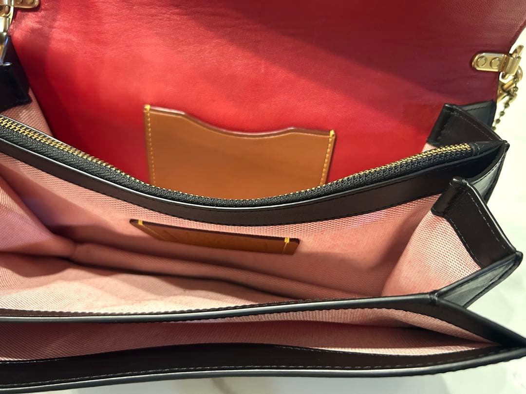 coach コーチ クロスボディバッグ クラッチバッグ ディズニー