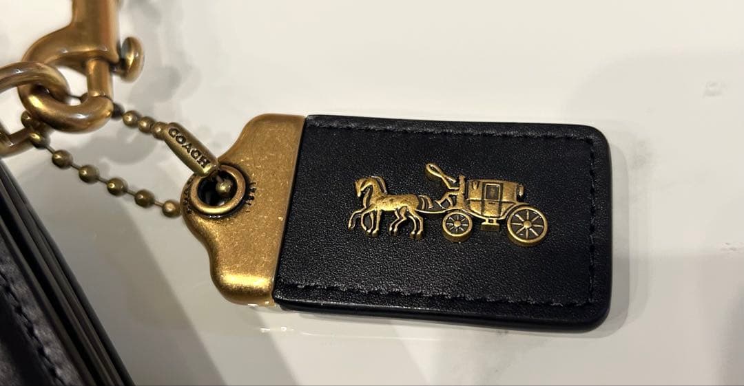 coach コーチ クロスボディバッグ クラッチバッグ ディズニー