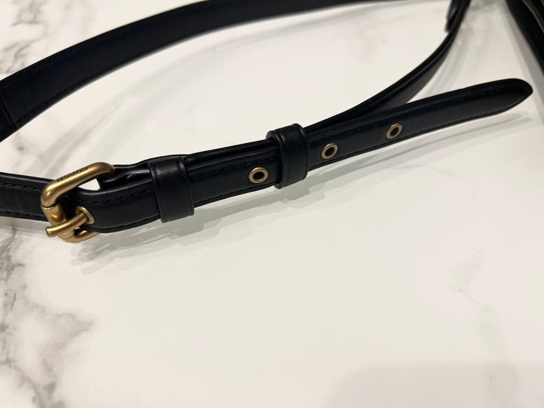 coach コーチ クロスボディバッグ クラッチバッグ ディズニー