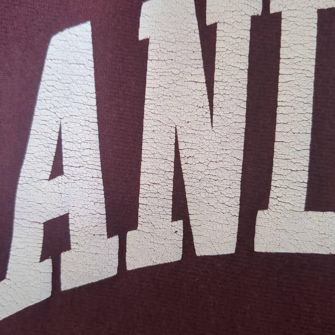 チャンピオン USA製 リバースウィーブ 刺繍タグ L