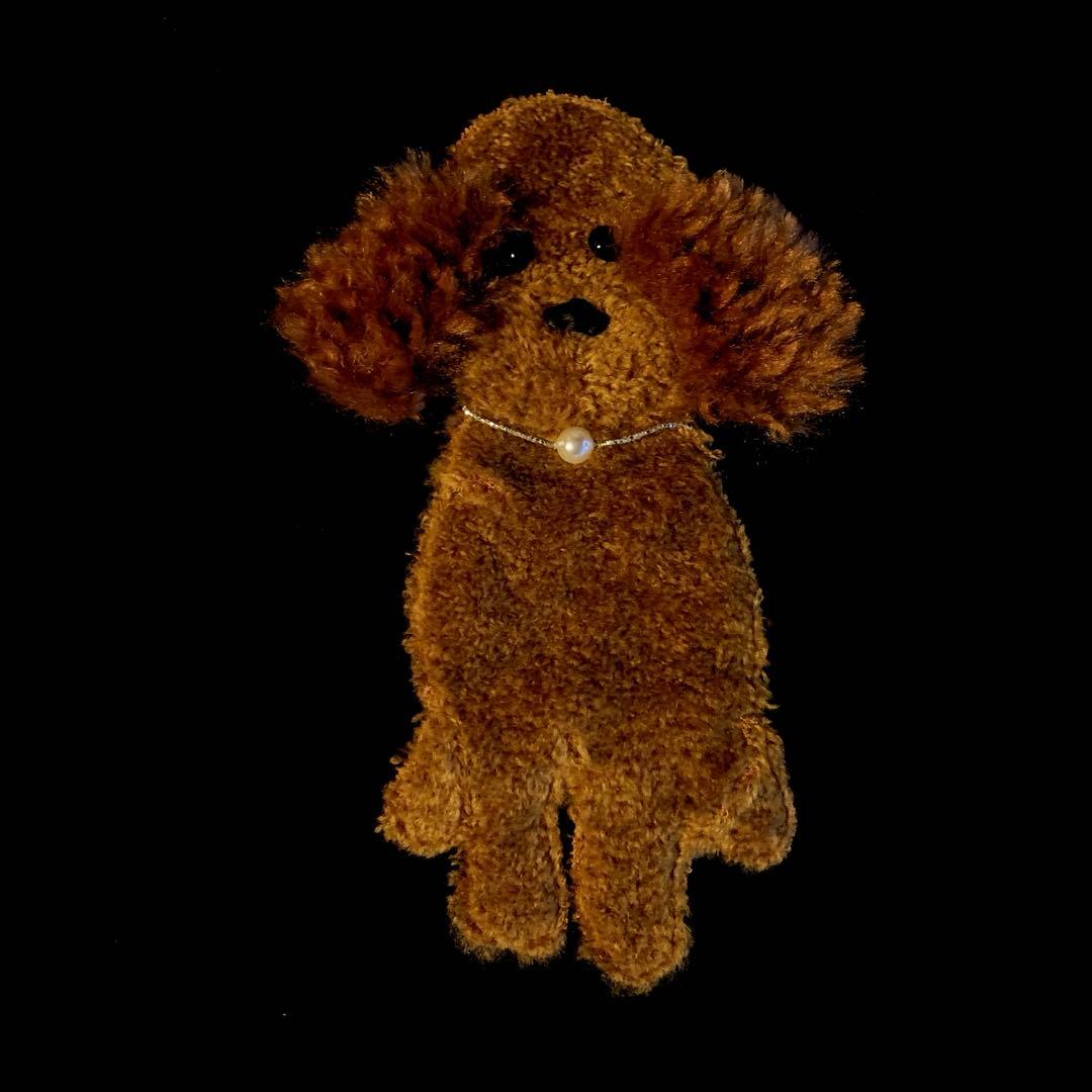 【LEO♥️EVE さま 専用】MUVEIL トイプードルTシャツ