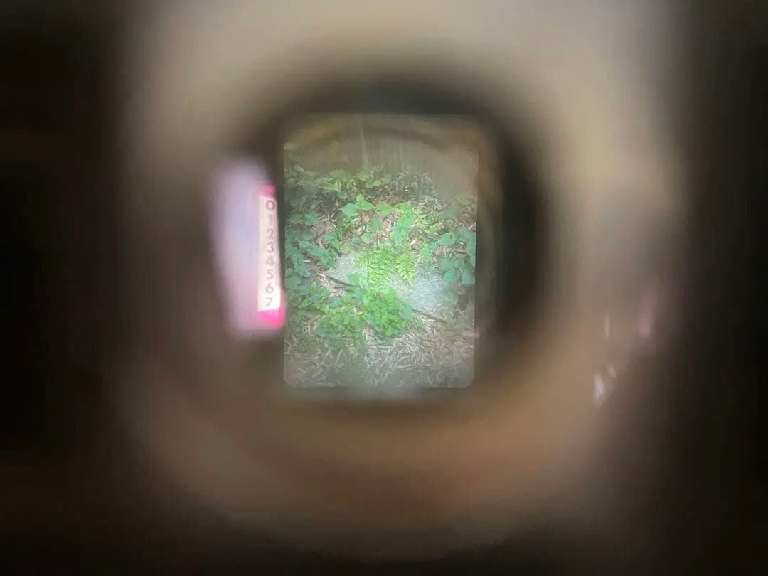 フィルムカメラ Olympus PEN-FT