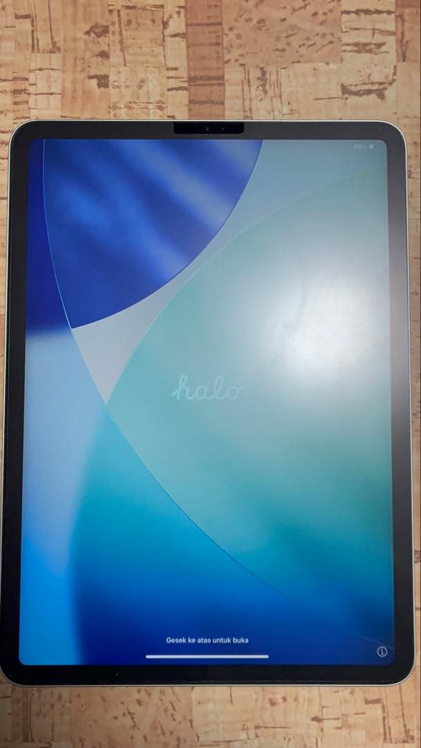 Apple iPad pro11インチ第一世代