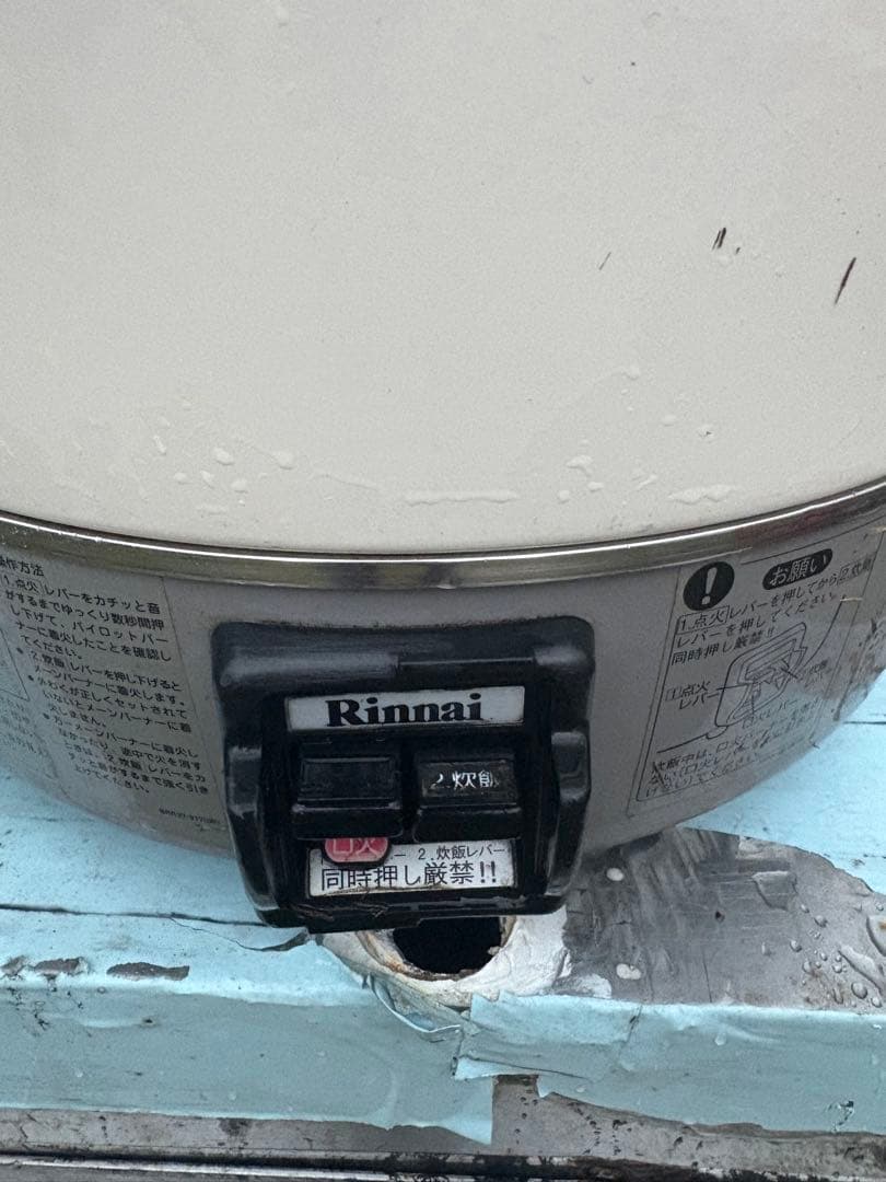 Rinnai 業務用 ガス炊飯器 RR30S1 プロパンガス用