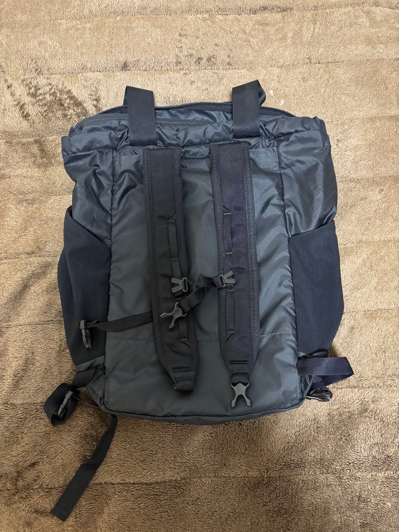 Patagonia ウルトラライトブラックホールトートパック 2way