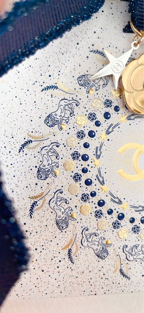 シャネル レキャトルオンブル397 ニュイアストラル ホリデー限定　レター付き