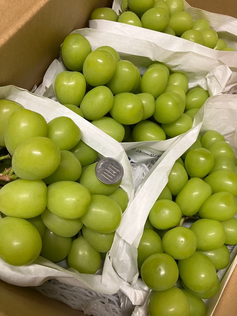 山梨県 勝沼産　シャインマスカット　5K 残り1箱