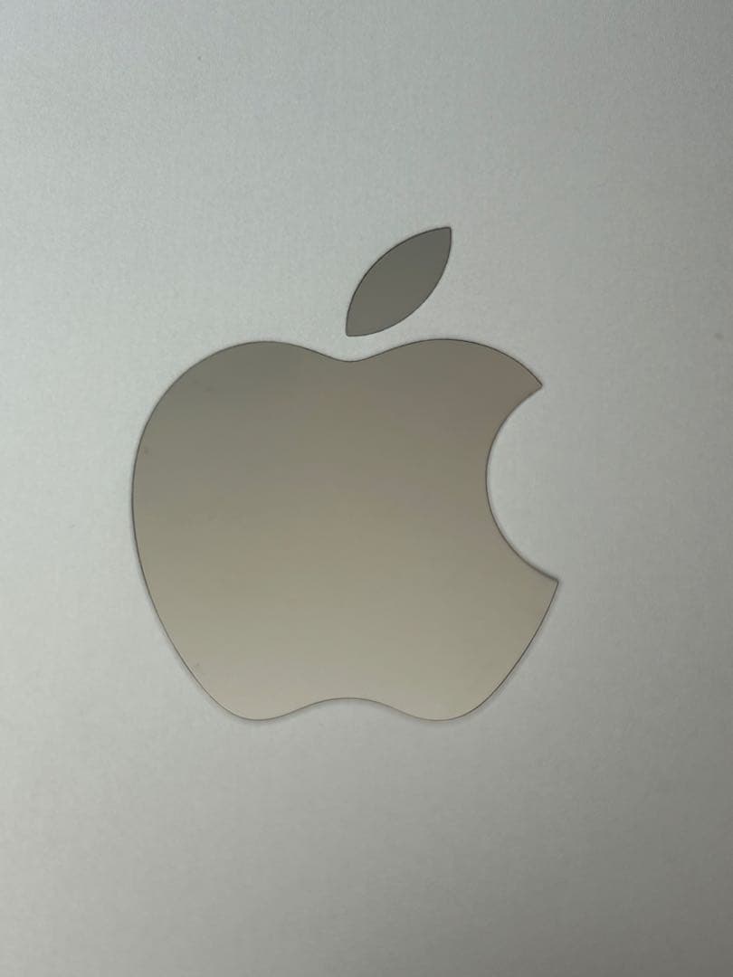 iPad Pro 12.9インチ (第5世代) 256GB Wi-Fi